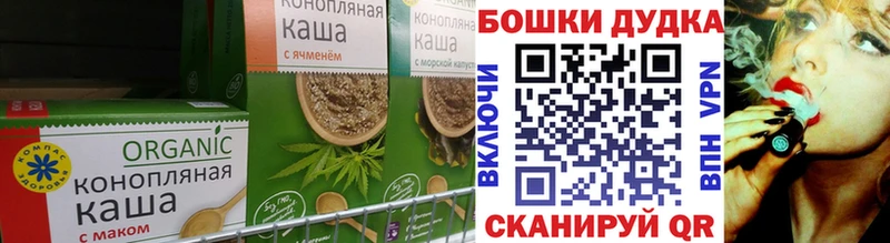 OMG ONION  Шенкурск  Cannafood конопля 