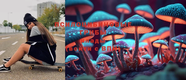 гидропоника Абаза